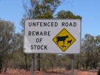Unfenced Road.JPG (71 KB)